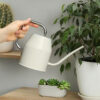 1.2 L Cream Watering Can for Indoor and Garden Plants